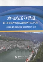 水电站压力管道 第八届全国水电站压力管道学术会议文集