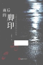雨后的脚印 王建幸悬疑侦探小说集