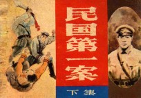 民国第一案 下