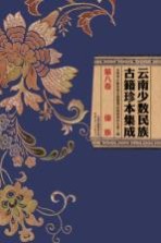 云南少数民族古籍珍本集成 第8卷 傣族