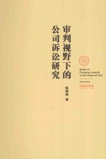 审判视野下的公司诉讼研究