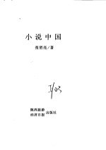 小说中国