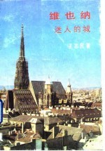 维也纳 迷人的城