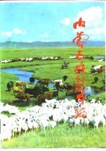 内蒙古统计年鉴 1991