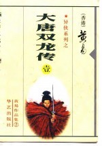 大唐双龙传 第一至十一册