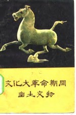 文化大革命期间出土文物
