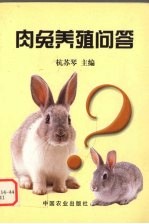 肉兔养殖问答