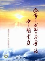 改革开放三十年的中国电力