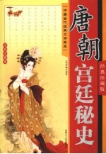 唐朝宫廷秘史 经典珍藏版