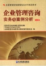 企业管理咨询实务与案例分析 上