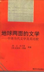 地球两面的文学 中美当代文学及其比较