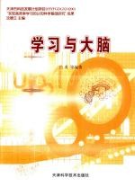 学习与大脑