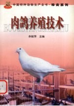 肉鸽养殖技术