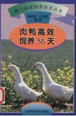肉鸭高效饲养56天