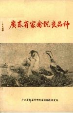 广东省家禽优良品种