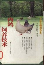 肉鸽饲养技术