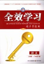全效学习 同步学练测 语文 八年级 下 人教版