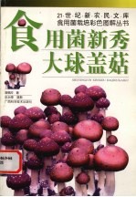 食用菌新秀-大球盖菇