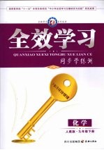 全效学习 同步学练测 化学 九年级 下 人教版