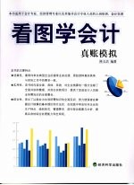 看图学会计:真账模拟