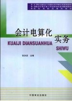 会计电算化实务