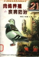 肉鸽养殖与疾病防治