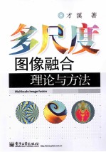 多尺度图像融合理论与方法