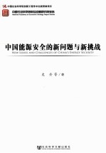 中国能源安全的新问题与新挑战