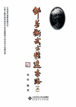 邹若衡武术精选套路 2