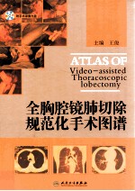 全胸腔镜肺切除规范化手术图谱