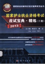 国家护士职业资格考试 应试宝典·精练 上