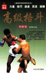 高级格斗 图解版