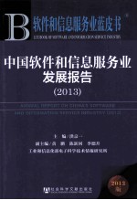 中国软件和信息服务业发展报告 2013