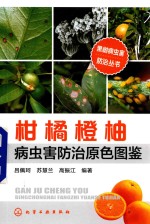 柑橘橙柚病虫害防治原色图鉴
