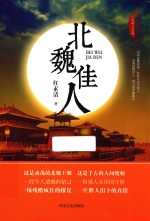 跨度长篇小说文库 北魏佳人