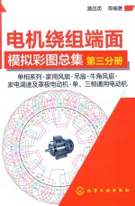 电机绕组端面模拟彩图总集 第3分册 单相系列 家用风扇 吊扇 牛角风扇 家电调速及罩极电动机 单、三相通用电动机