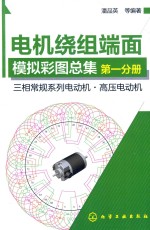 电机绕组端面模拟彩图总集 第1分册 三相常规系列电动机 高压电动机