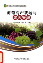 葡萄高产栽培与果园管理