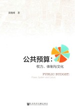 公共预算 权力、体制与文化