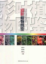 彩叶植物图鉴