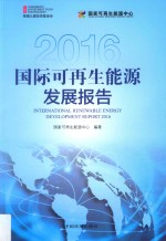国际可再生能源发展报告 2016