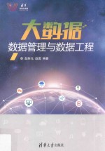 大数据 数据管理与数据工程