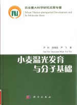 小麦温光发育与分子基础