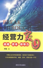经营力突围 战略·资本·领导力