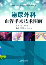 泌尿外科血管手术技术图解
