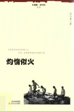 小说眼看中国丛书 灼情似火