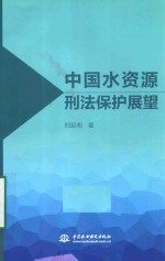 中国水资源刑法保护展望