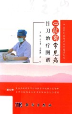 四肢部常见病 针刀治疗图谱
