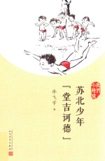 我们小时候 苏北少年“堂吉诃德” 人文社2017年新版
