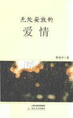 无处安放的爱情